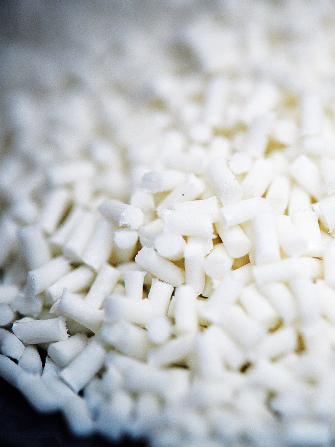 Polymer Additives - L. Brüggemann GmbH & Co. KG