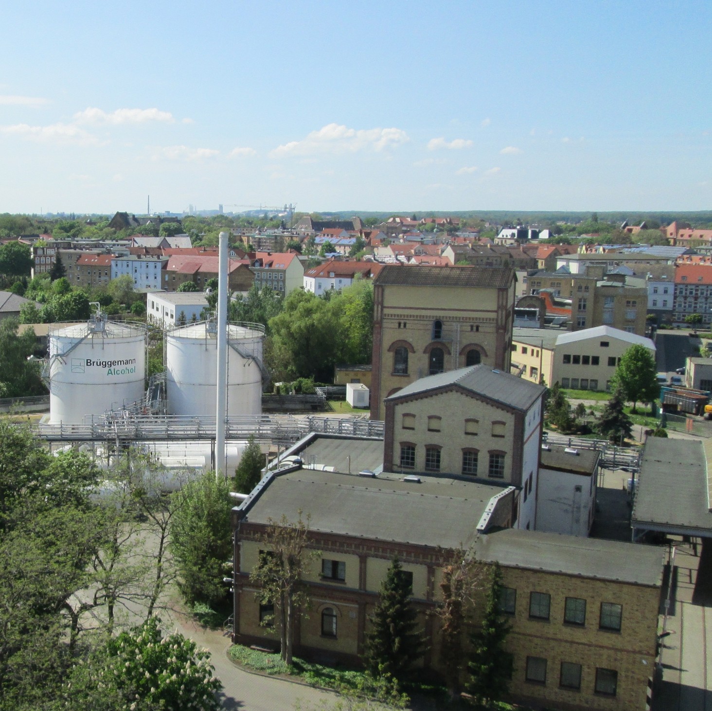 Standort Wittenberg 2 Brüggemann