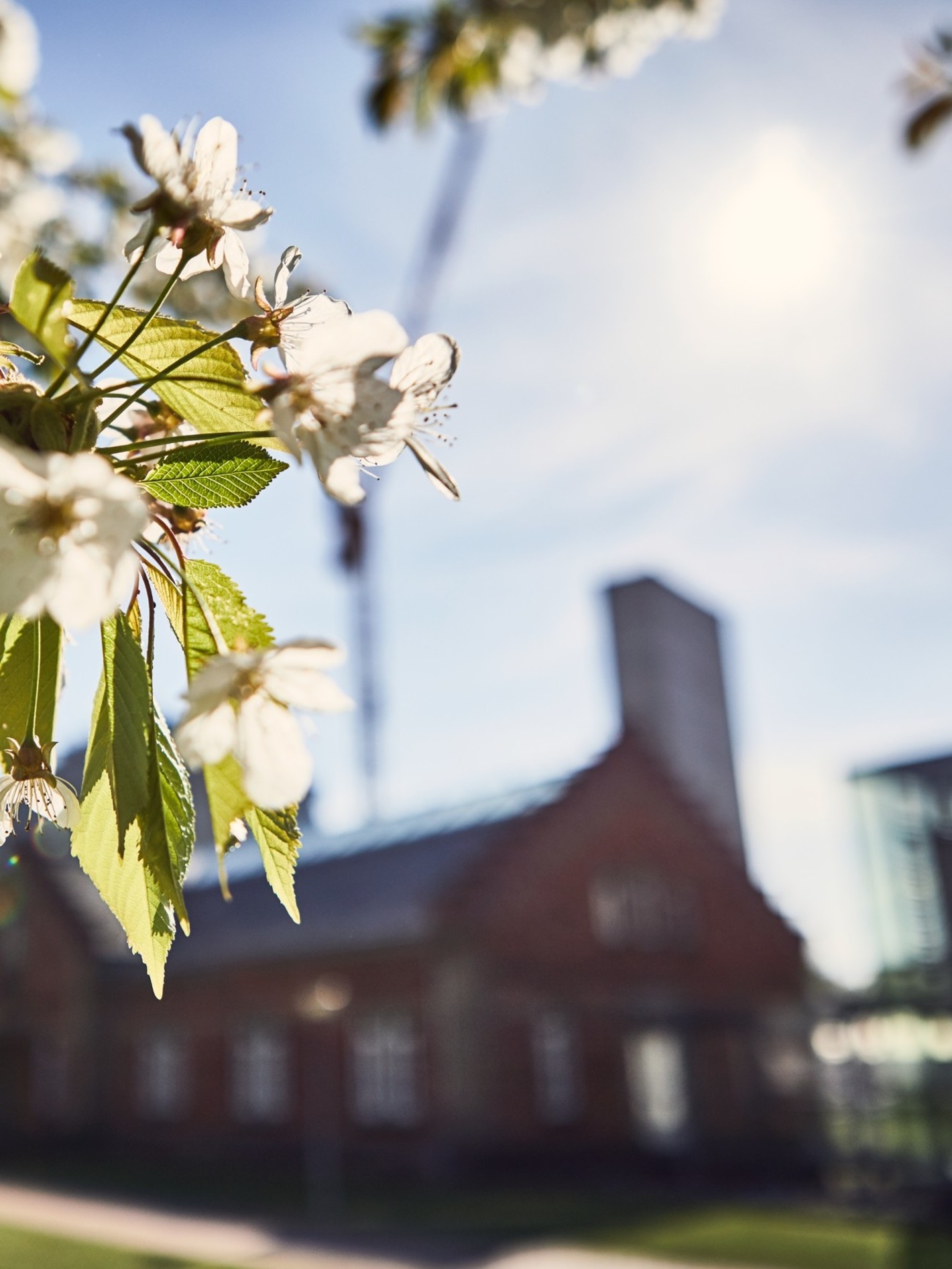 Verantwortung Brüggemann